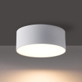 BRILAGI - LED buitenplafondlamp FORIS LED/14W/230V pr. 12 cm wit IP44