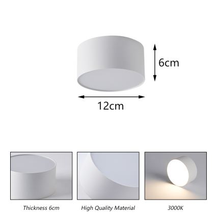 BRILAGI - LED buitenplafondlamp FORIS LED/14W/230V pr. 12 cm wit IP44