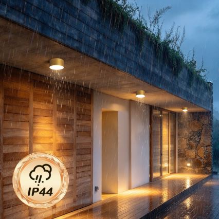 BRILAGI - LED Buitenplafondlamp FORIS LED/14W/230V Ø 12 cm goudkleurig IP44