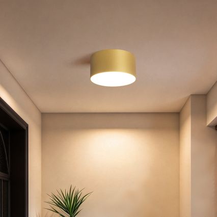 BRILAGI - LED Buitenplafondlamp FORIS LED/14W/230V Ø 12 cm goudkleurig IP44