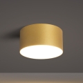 BRILAGI - LED Buitenplafondlamp FORIS LED/14W/230V Ø 12 cm goudkleurig IP44