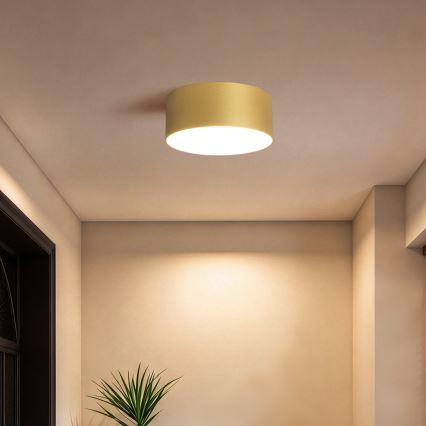 BRILAGI - LED buitenplafondlamp FORIS LED/20W/230V Ø 15 cm goudkleurig IP44