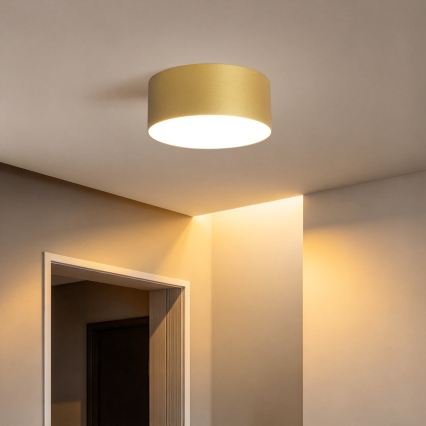 BRILAGI - LED buitenplafondlamp FORIS LED/20W/230V Ø 15 cm goudkleurig IP44