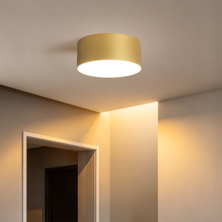 BRILAGI - LED buitenplafondlamp FORIS LED/20W/230V Ø 15 cm goudkleurig IP44