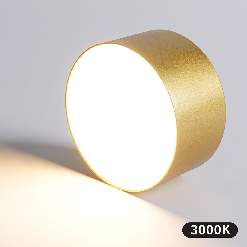 BRILAGI - LED buitenplafondlamp FORIS LED/20W/230V Ø 15 cm goudkleurig IP44