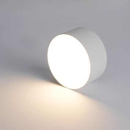 BRILAGI - LED buitenplafondlamp FORIS LED/20W/230V Ø 15 cm wit IP44