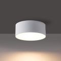 BRILAGI - LED Buitenplafondlamp FORIS LED/9W/230V Ø 9 cm wit IP44