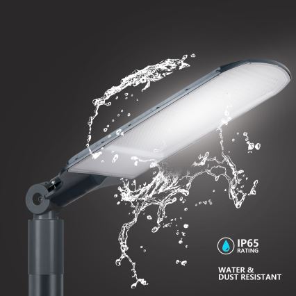 Brilagi - LED buitenstraatlamp URBANLIGHT LED/250W/230V antraciet IP65
