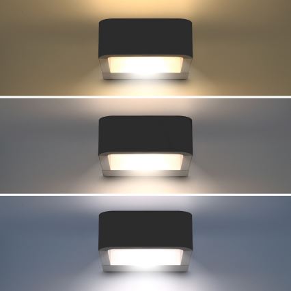 Brilagi - LED Wandlamp voor buiten BARI LED/7W/230V 3000/4000/6000K antraciet IP54