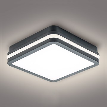 Brilagi - LED Buitenverlichting BENE LED/18W/230V 22x22 cm antraciet IP54