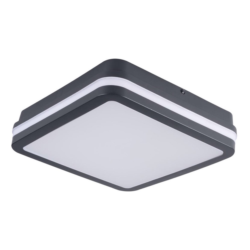Brilagi - LED Buitenverlichting BENE LED/18W/230V 22x22 cm antraciet IP54