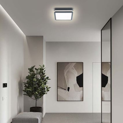 Brilagi - LED Buitenverlichting BENE LED/18W/230V 22x22 cm antraciet IP54
