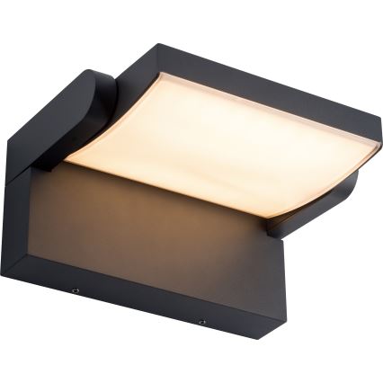 BRILAGI - LED Buitenwandlamp ANKLE LED/12W/230V IP65 zwart