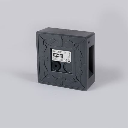 Brilagi - LED buitenwandlamp DOUBLERAY LED/6W/230V antraciet IP54