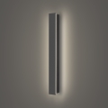 Brilagi - LED buitenwandlamp LINEAR LED/12W/230V 4000K IP65 50 cm antraciet