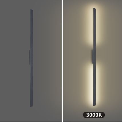Brilagi - LED buitenwandlamp LUNA LED/30W/230V 3000K IP65 150 cm antraciet CRI 90