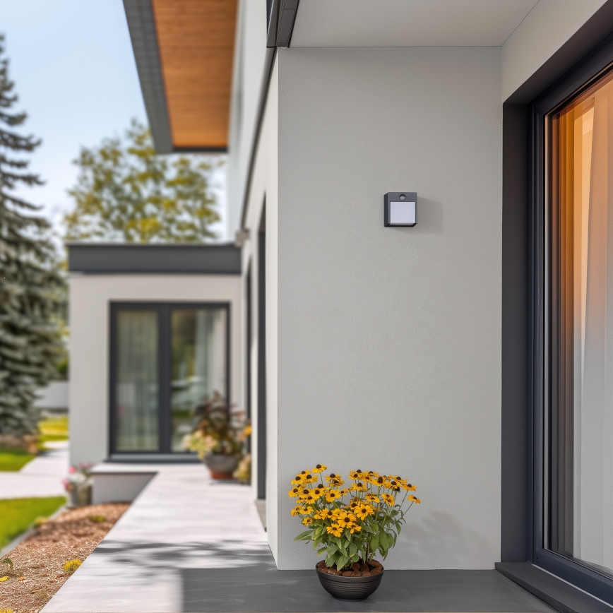 Brilagi - LED Buitenwandlamp met sensor TERNI LED/12W/230V antraciet IP44