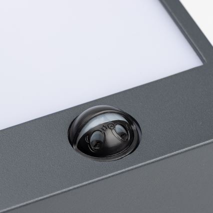 Brilagi - LED Buitenwandlamp met sensor TERNI LED/12W/230V antraciet IP44