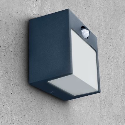 Brilagi - LED Buitenwandlamp met sensor TERNI LED/12W/230V antraciet IP44
