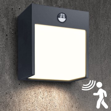 Brilagi - LED Buitenwandlamp met sensor TERNI LED/12W/230V antraciet IP44