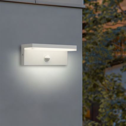 Brilagi - LED buitenwandlamp met geïntegreerde sensor TESSI LED/10W/230V wit IP54