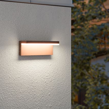 Brilagi - LED buitenwandlamp TESSI LED/10W/230V, bruin, IP54