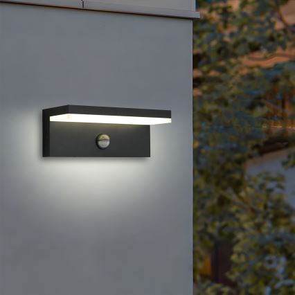 Brilagi - LED buitenwandlamp met sensor TESSI LED/10W/230V zwart IP54