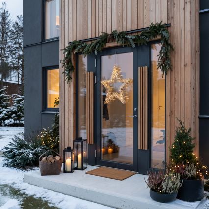BRILAGI - LED décoration de Noël extérieure LED/3,3 W/230 V IP44 étoile 60 cm