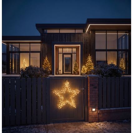 BRILAGI - LED décoration de Noël extérieure LED/3,3 W/230 V IP44 étoile 60 cm