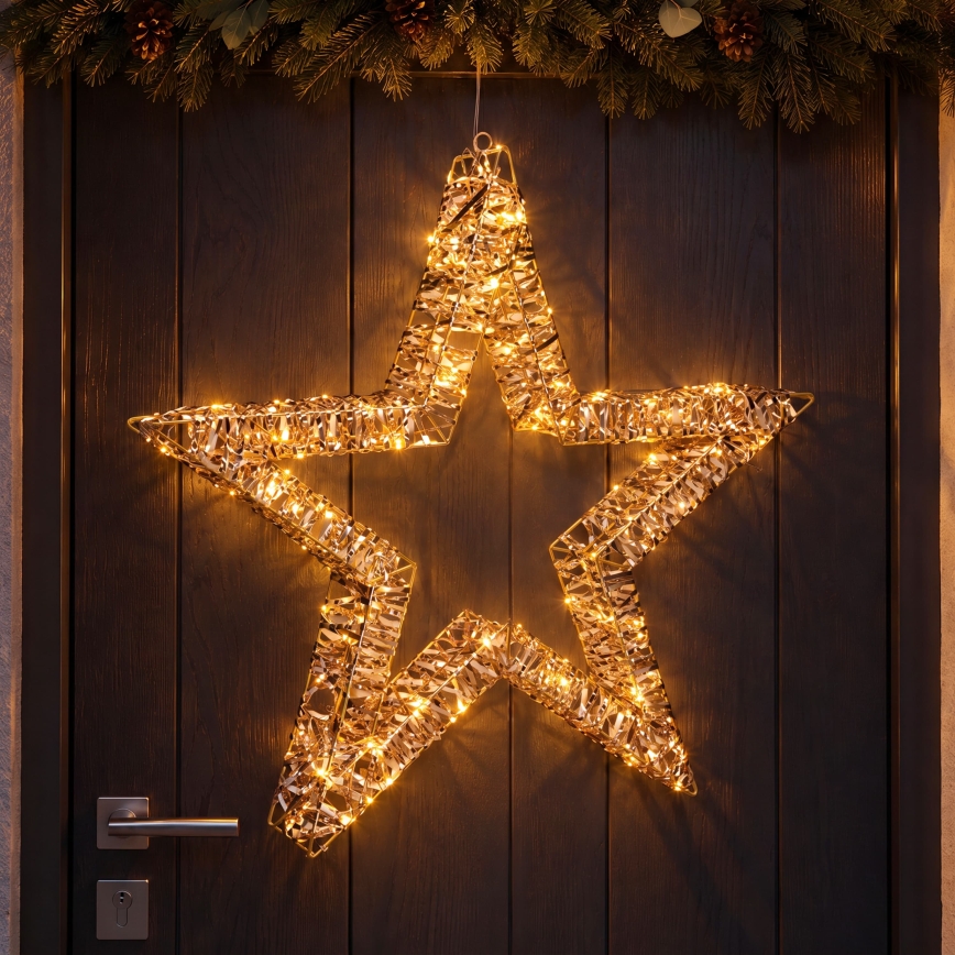 BRILAGI - LED décoration de Noël extérieure LED/3,3 W/230 V IP44 étoile 60 cm