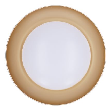 Brilagi - LED-dimbare plafondlamp ALVA LED/48W/230V 3000-6500K Ø 51 cm zwart + afstandsbediening