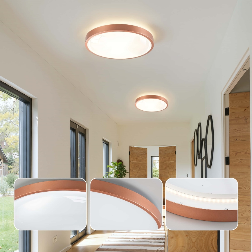 BRILAGI - LED-dimbare plafondlamp GLASS POOL DOUBLE LED/48W/230V Ø 40 cm koperkleurig + afstandsbediening