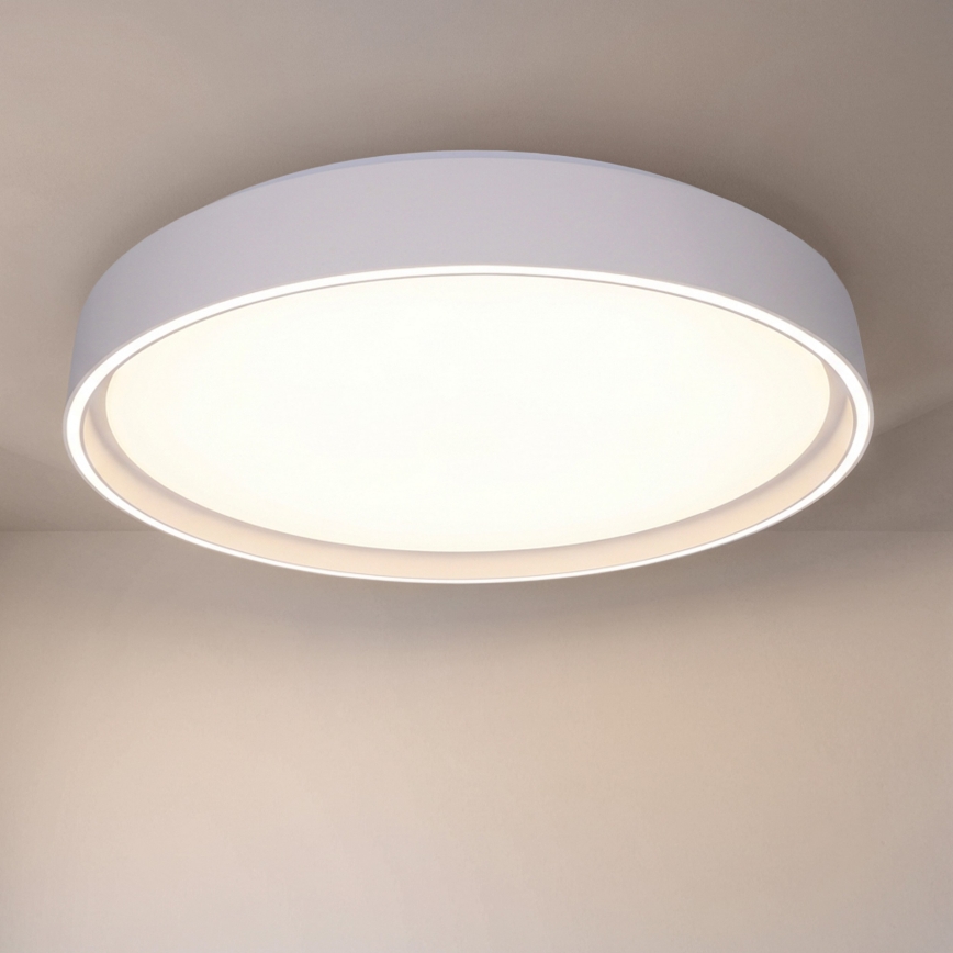 BRILAGI - Dimbare LED-plafondlamp NANCI LED/60W/230V 3000-6500K pr. 49 cm wit + afstandsbediening