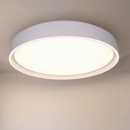 Brilagi - Dimbare LED-plafondlamp NANCI 60W/230V 3000–6500K Ø 49 cm, zilver + afstandsbediening