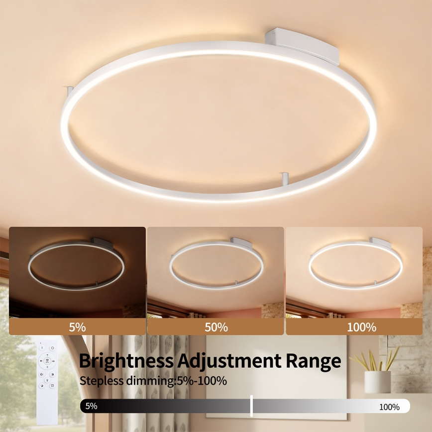 Brilagi - Dimbare LED-plafondlamp PORTOFINO LED/60W/230V 3000-6000K Ø 80 cm zilver + afstandsbediening