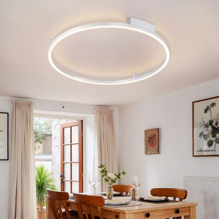Brilagi - Dimbare LED-plafondlamp PORTOFINO LED/60W/230V 3000-6000K Ø 80 cm zilver + afstandsbediening
