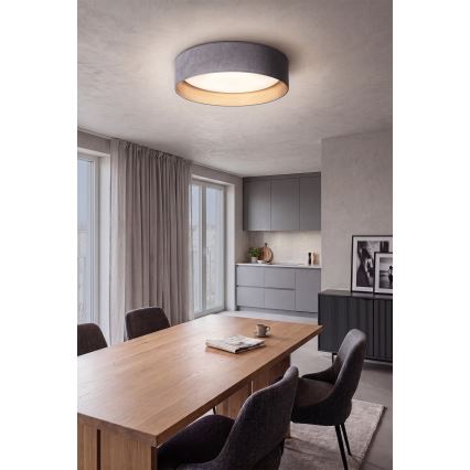 Brilagi - Dimbare LED-plafondlamp VELVET SMART VARI LED/24W/230V 3000-6500K Ø 45 cm grijs/goud + afstandsbediening