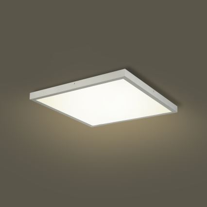 Brilagi - LED dimbare badkamerplafondlamp FRAME SMART LED/50W/230V 60x60 cm 3000-6000K IP44 zilverkleurig + afstandsbediening