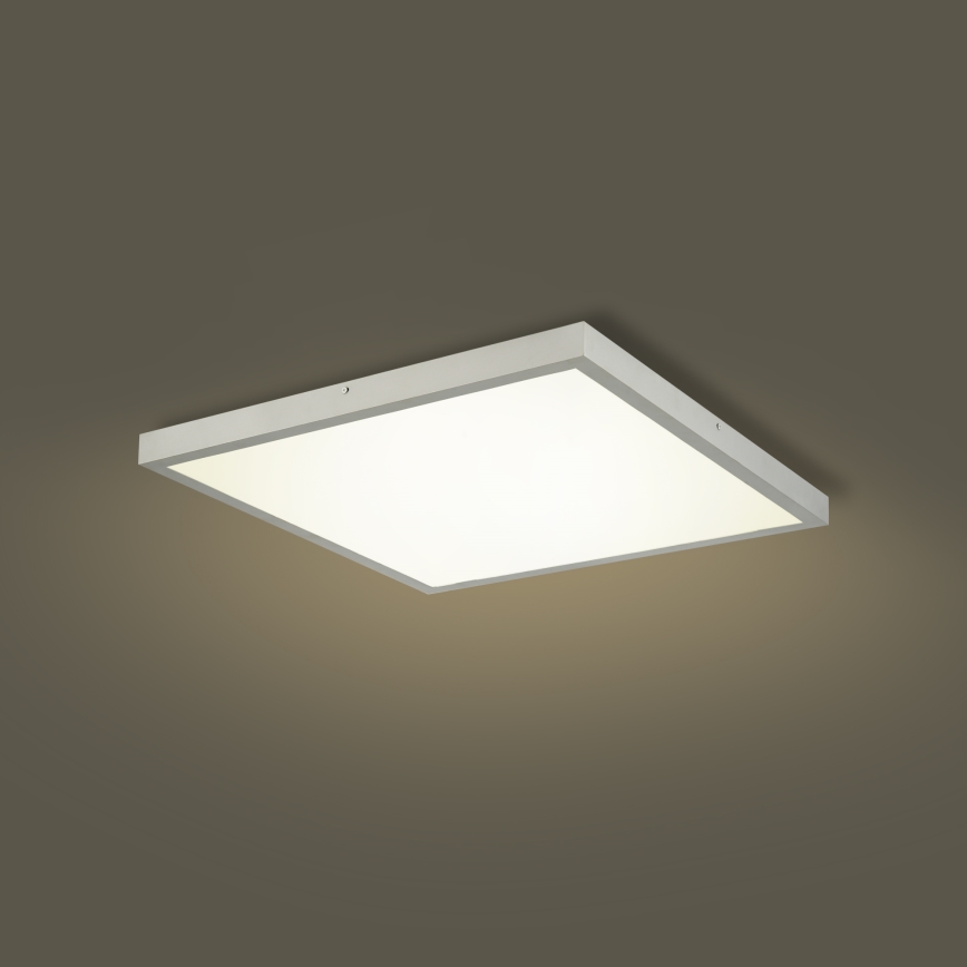 Brilagi - LED dimbare badkamerplafondlamp FRAME SMART LED/50W/230V 60x60 cm 3000-6000K IP44 zilverkleurig + afstandsbediening