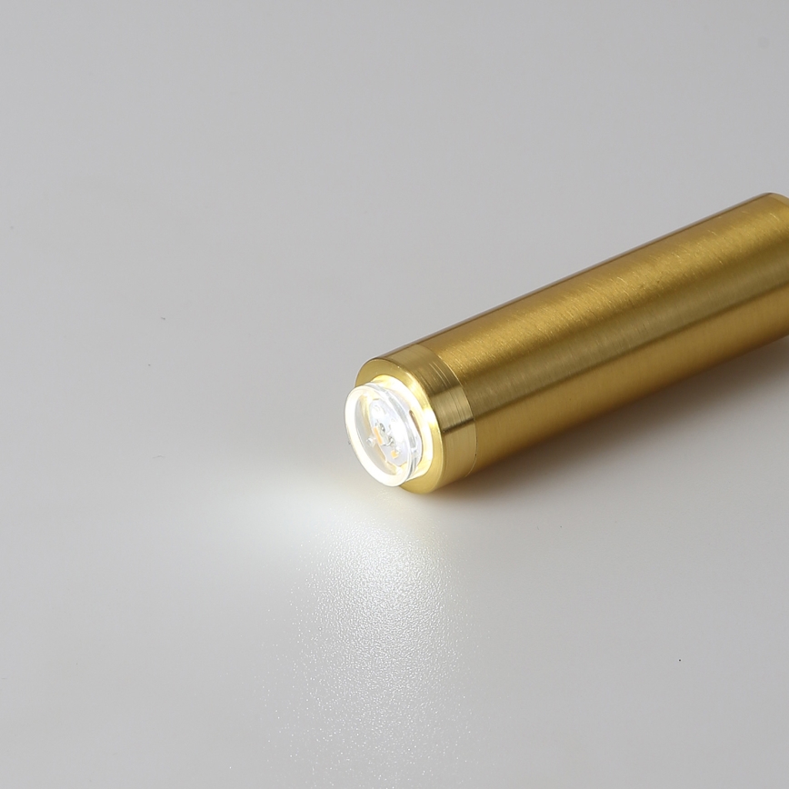Brilagi - LED Dimbaar flexibel wand lamp MAYA 1xG9/4W/230V wit/goud 2700-6500K Wi-Fi Tuya