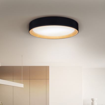Brilagi - Dimbare LED plafondlamp LARIOS LED/60W/230V 3000-6500K ø 49 cm zwart + afstandsbediening