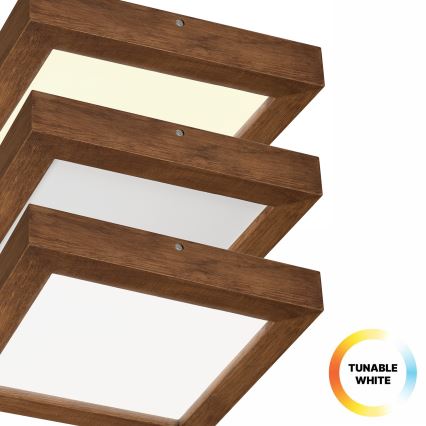 Brilagi - LED Dimbare badkamer plafondverlichting WOODY FRAME LED/24W/230V eiken kers 30x30 cm 3000-6000K IP44 + afstandsbediening