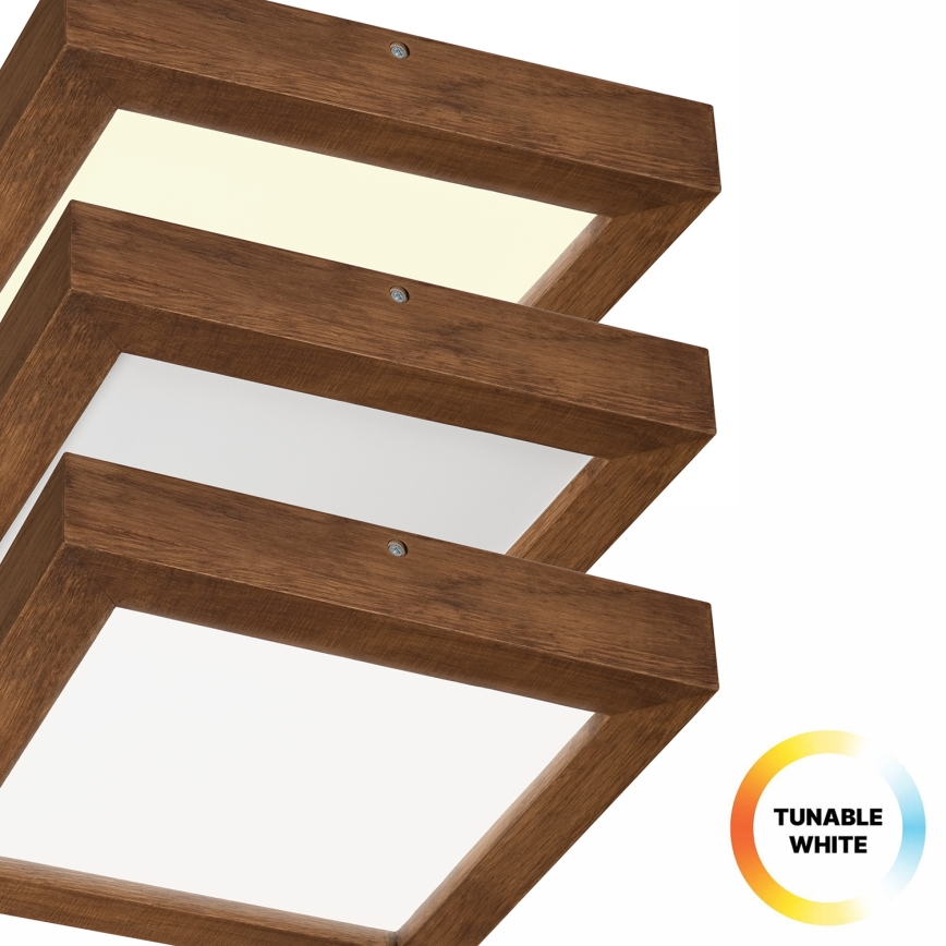 Brilagi - LED Dimbare badkamer plafondverlichting WOODY FRAME LED/24W/230V eiken kers 30x30 cm 3000-6000K IP44 + afstandsbediening
