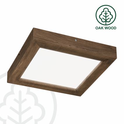 Brilagi - LED Dimbare badkamer plafondverlichting WOODY FRAME LED/24W/230V eiken 30x30 cm 3000-6000K IP44 + afstandsbediening
