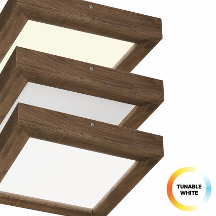 Brilagi - LED Dimbare badkamer plafondverlichting WOODY FRAME LED/24W/230V eiken 30x30 cm 3000-6000K IP44 + afstandsbediening