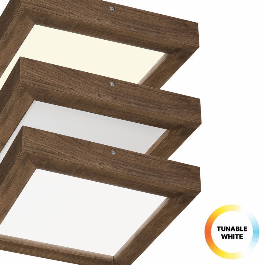 Brilagi - LED Dimbare badkamer plafondverlichting WOODY FRAME LED/24W/230V eiken 30x30 cm 3000-6000K IP44 + afstandsbediening