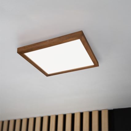 Brilagi - LED Dimbare badkamer plafondverlichting WOODY FRAME LED/50W/230V eiken kers 60x60 cm 3000-6000K IP44 + afstandsbediening