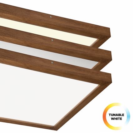Brilagi - LED Dimbare badkamer plafondverlichting WOODY FRAME LED/50W/230V eiken kers 60x60 cm 3000-6000K IP44 + afstandsbediening