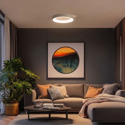 BRILAGI - LED dimbare plafondlamp FALCON SLIM LED/42W/230V 3000-6500K Ø 50 cm beige + afstandsbediening