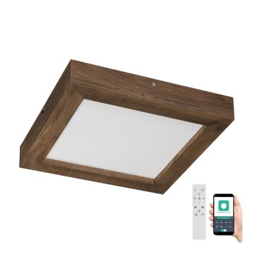 Brilagi - LED dimbare badkamer plafondlamp WOODY FRAME LED/24W/230V eiken walnoot 30x30 cm 3000-6000K IP44 + afstandsbediening